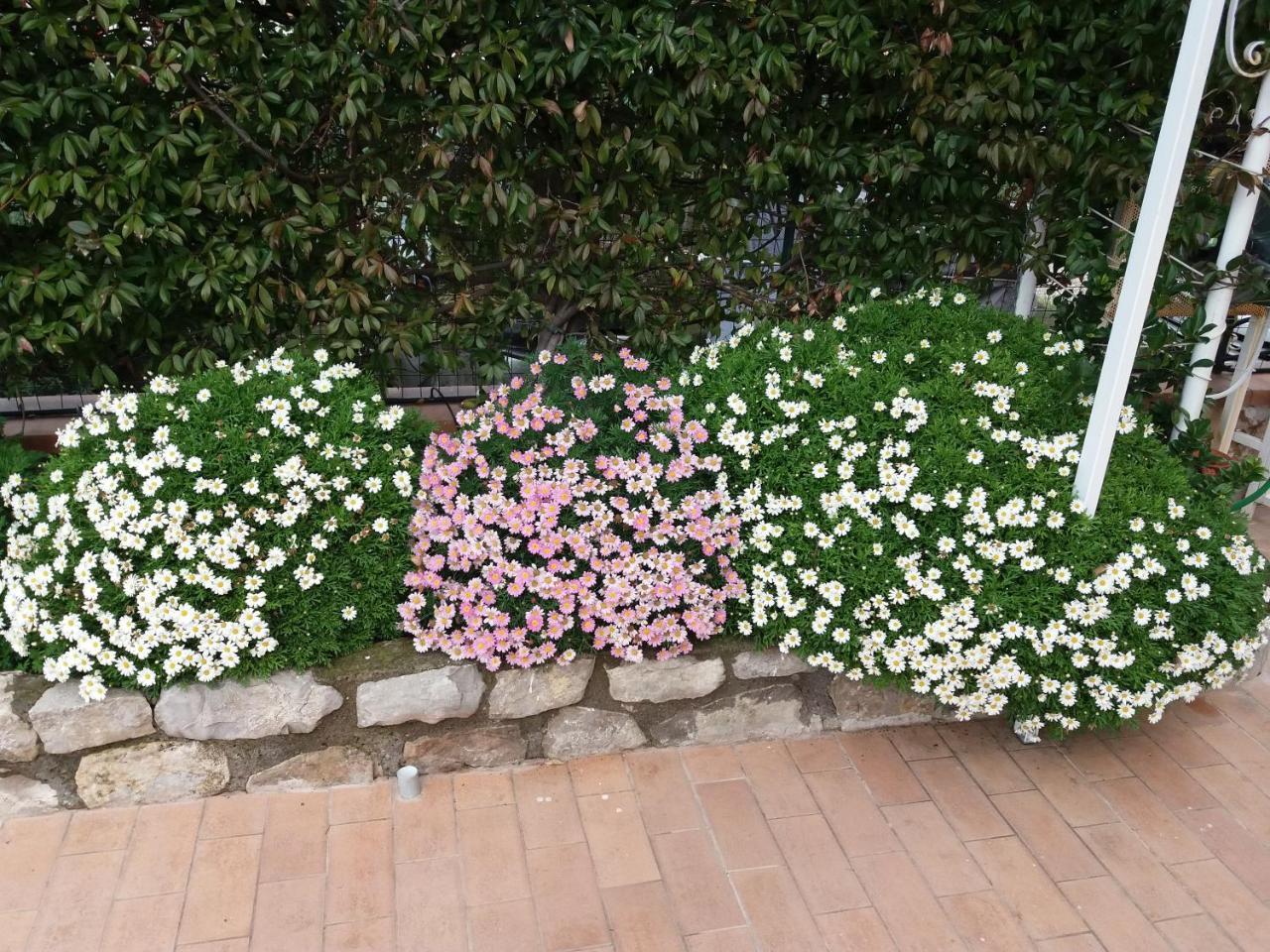 Garden On The Sea Bed and Breakfast Vico Equense Εξωτερικό φωτογραφία
